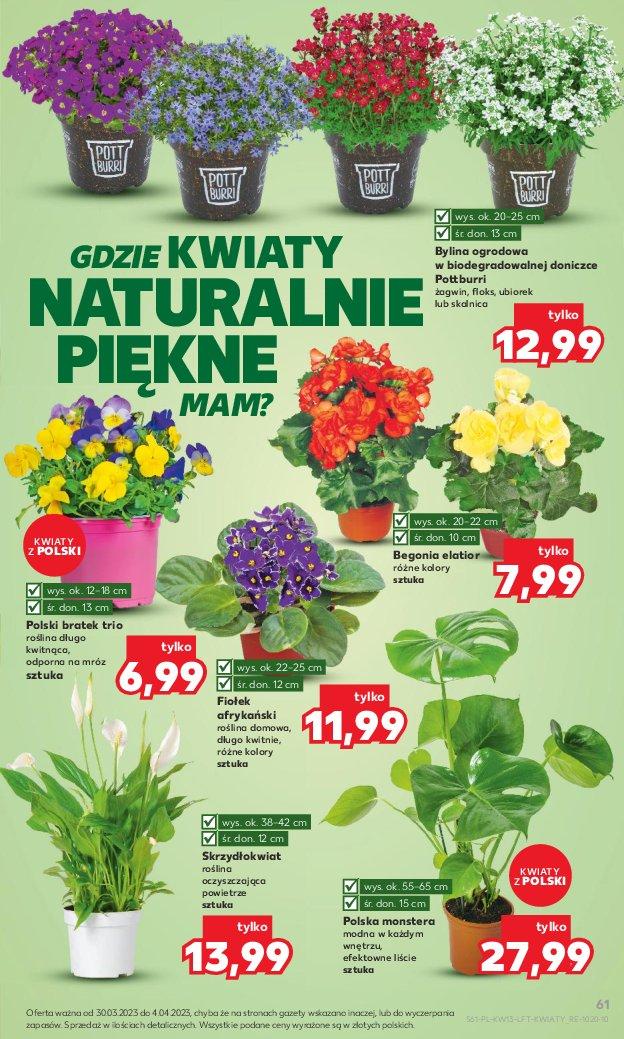 Gazetka promocyjna Kaufland do 04/04/2023 str.61