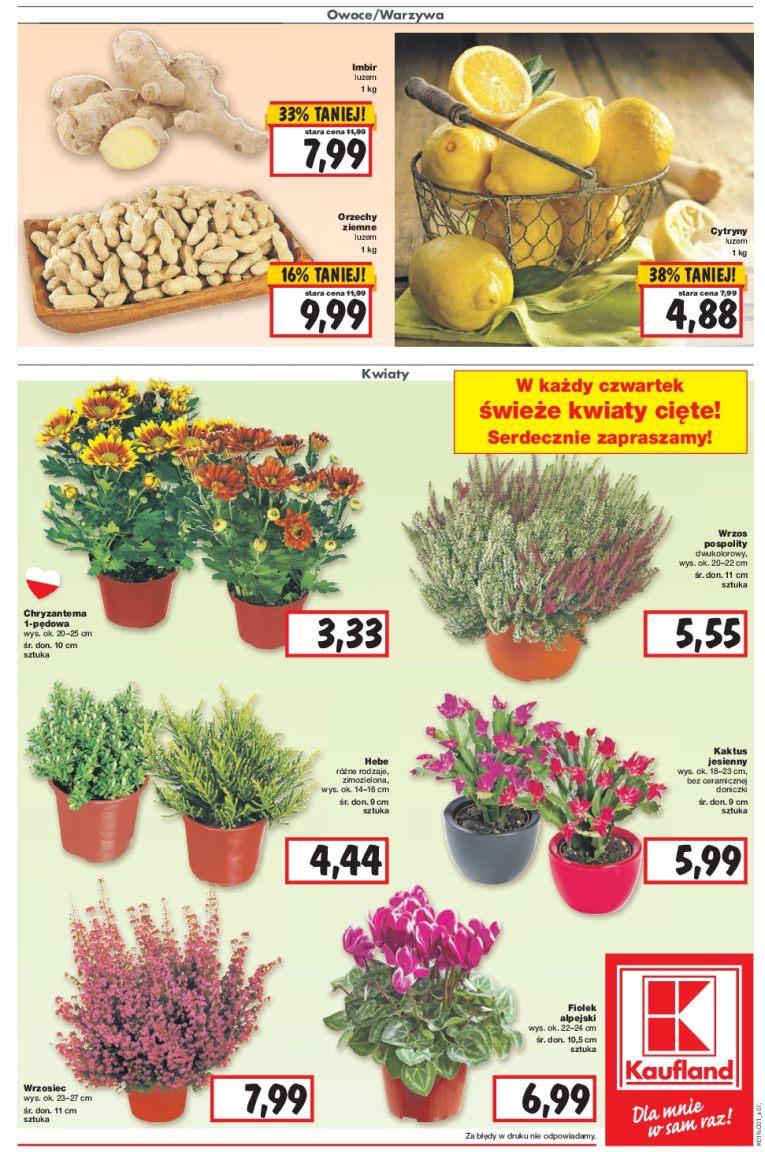 Gazetka promocyjna Kaufland do 12/10/2016 str.7