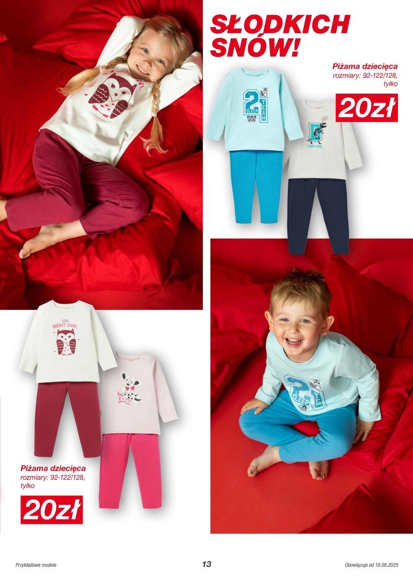 Gazetka promocyjna TEDi do 21/06/2025 str.13