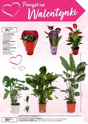 Gazetka Leroy Merlin