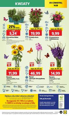 Lidl od środy