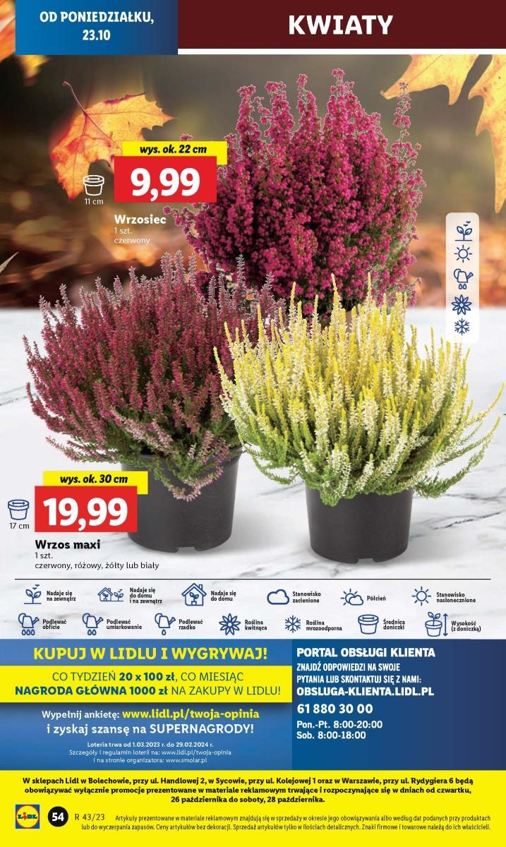 Gazetka promocyjna Lidl do 25/10/2023 str.59