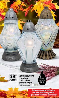 Lidl znicze