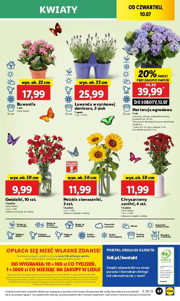 Gazetka promocyjna Lidl do 12/07/2025 str.61