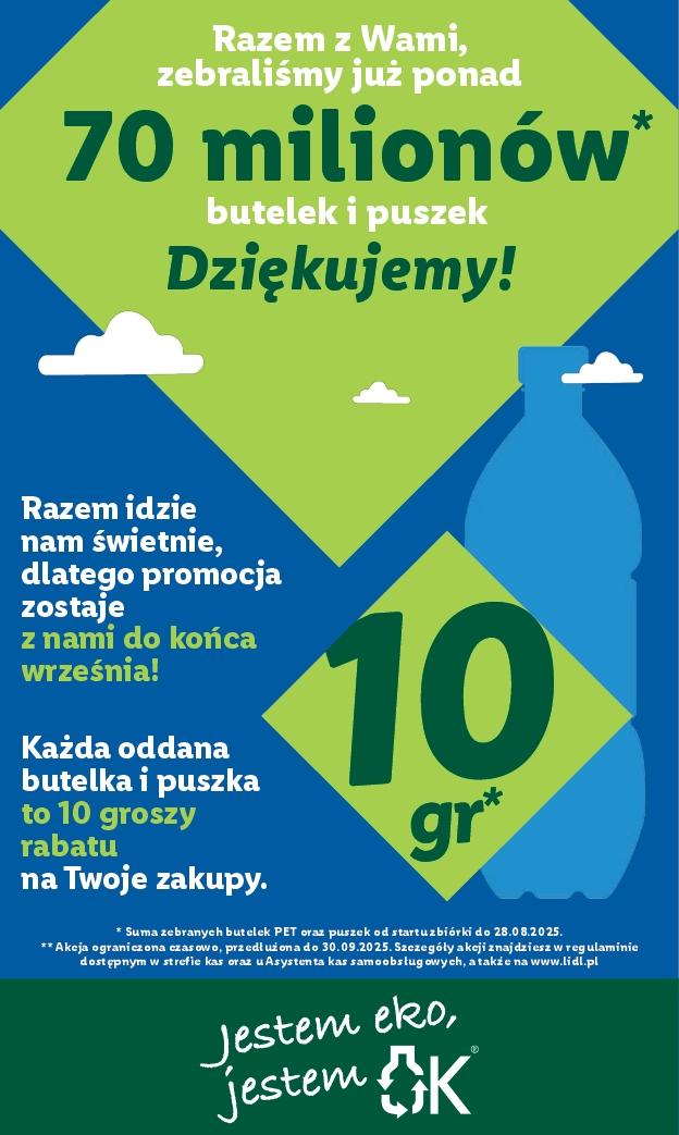 Gazetka promocyjna Lidl do 06/09/2025 str.39