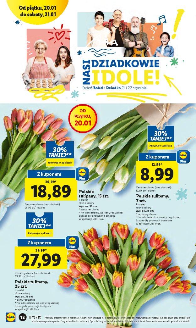 Gazetka promocyjna Lidl do 21/01/2023 str.22