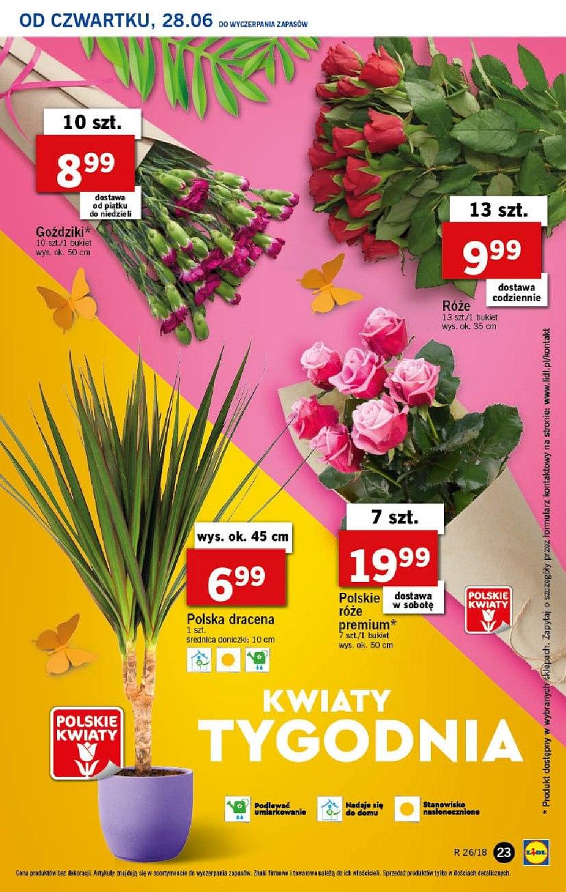 Gazetka promocyjna Lidl do 01/07/2018 str.23