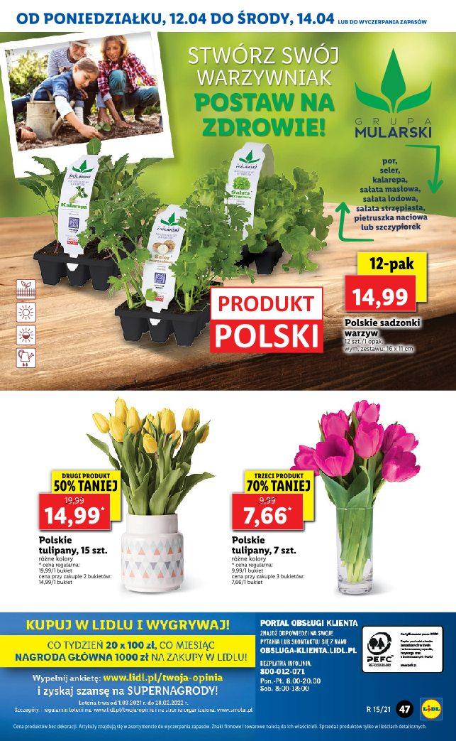 Gazetka promocyjna Lidl do 17/04/2021 str.47