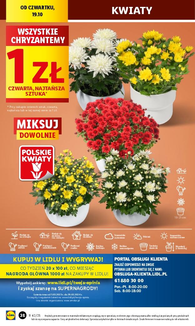 Gazetka promocyjna Lidl do 21/10/2023 str.44