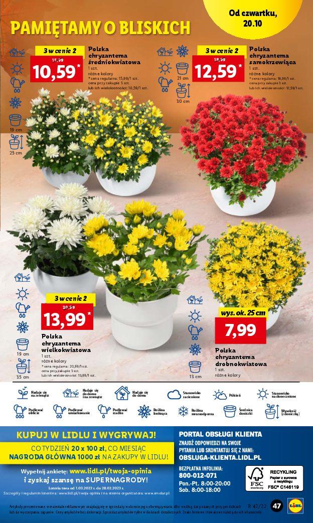 Gazetka promocyjna Lidl do 22/10/2022 str.55