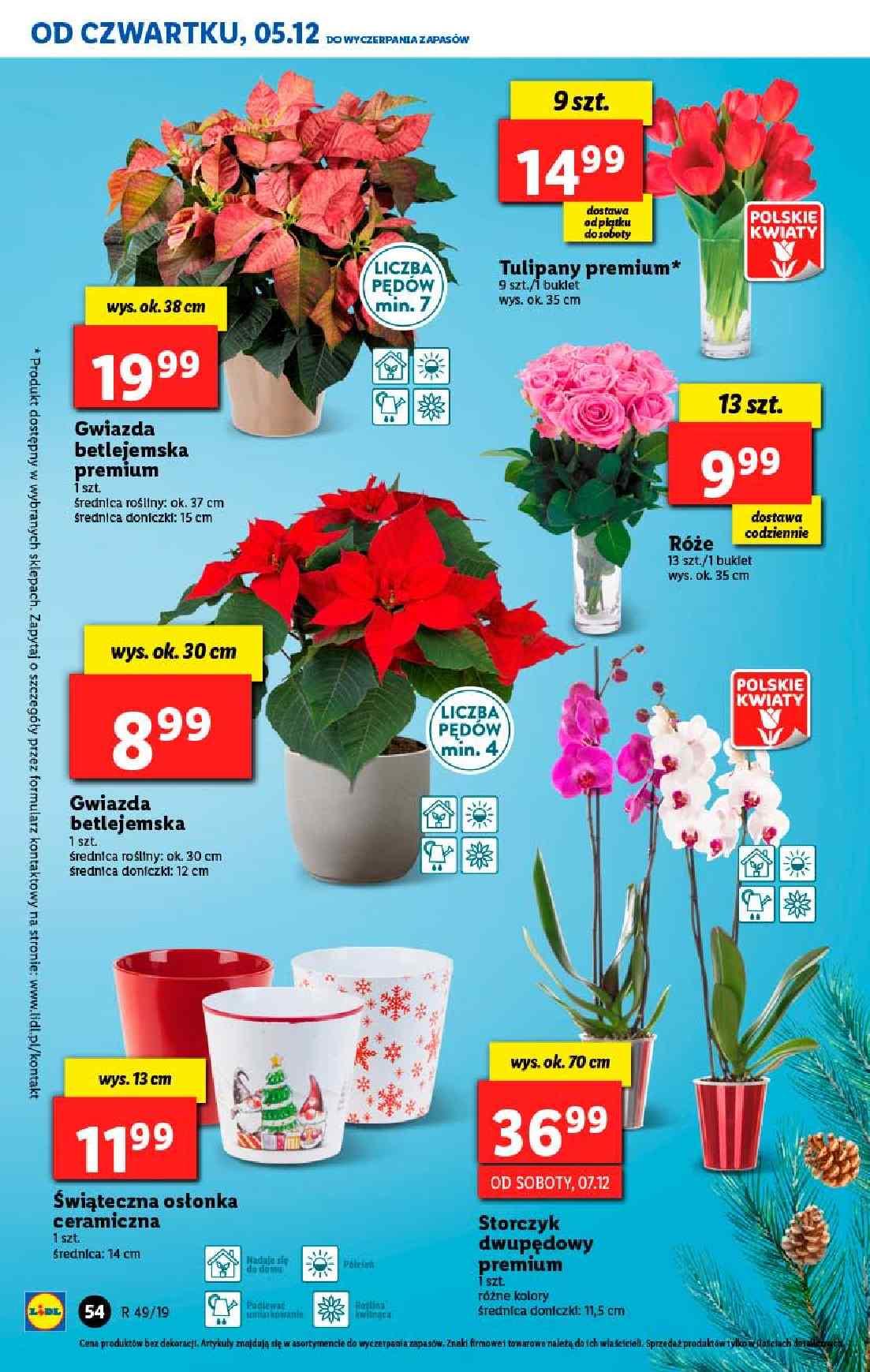 Gazetka promocyjna Lidl do 07/12/2019 str.54