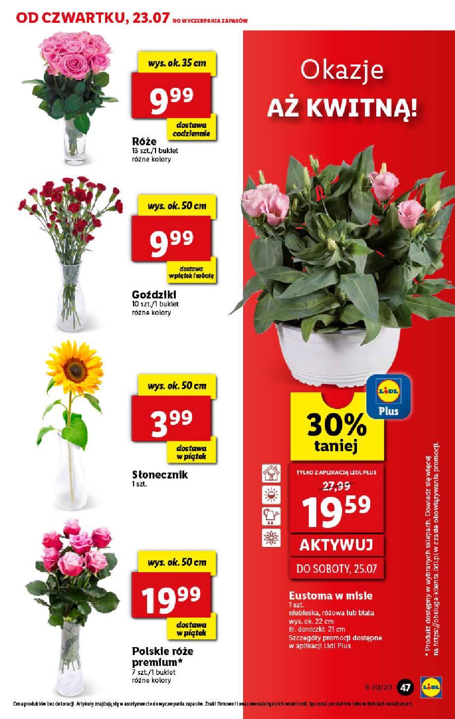 Gazetka promocyjna Lidl do 25/07/2020 str.47