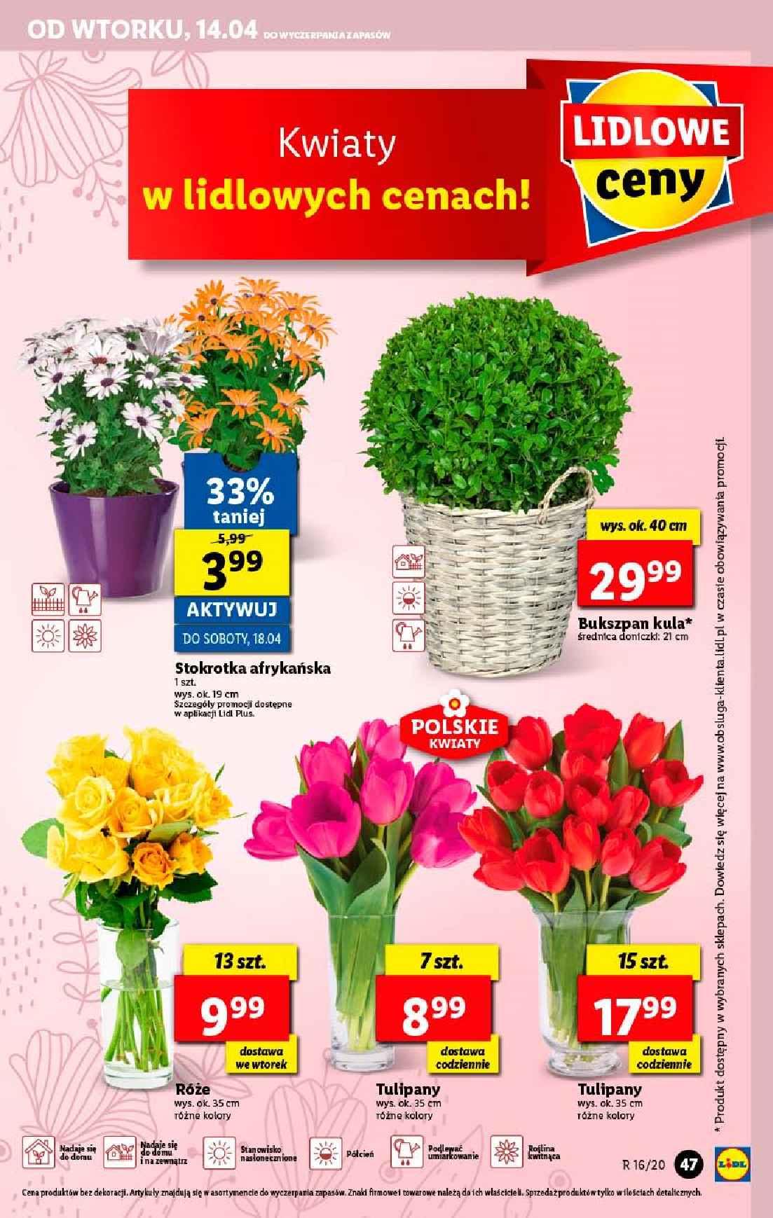 Gazetka promocyjna Lidl do 15/04/2020 str.47