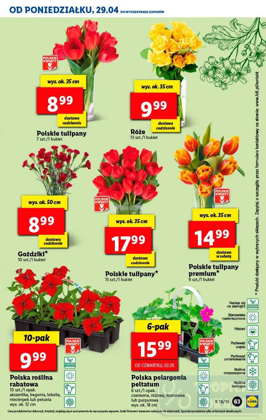 Gazetka promocyjna Lidl do 04/05/2019 str.63