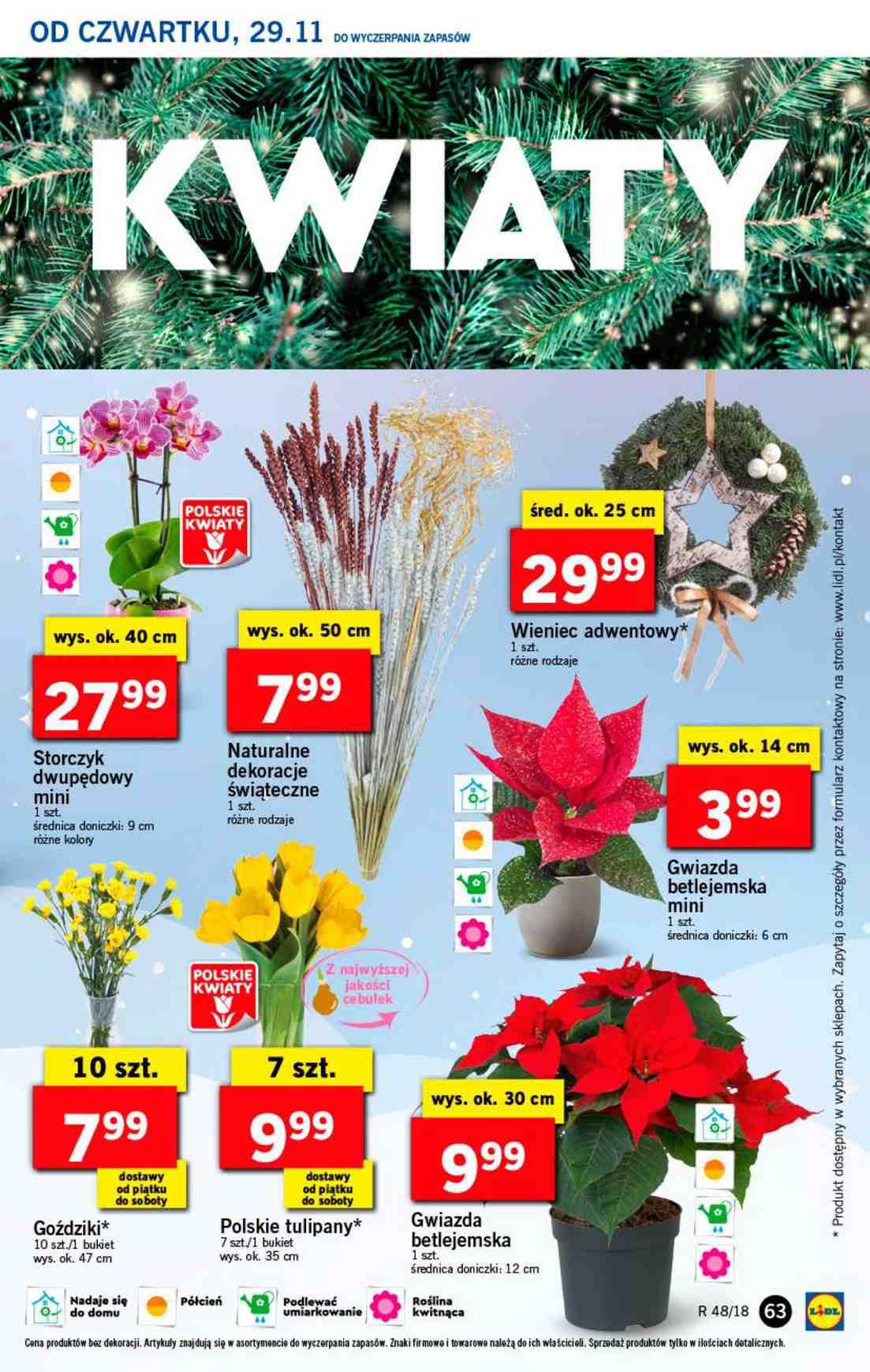 Gazetka promocyjna Lidl do 02/12/2018 str.63