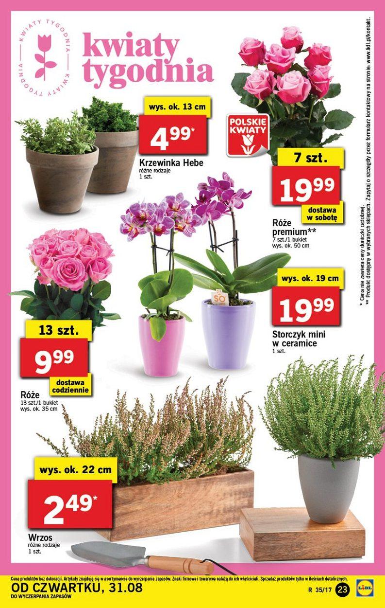 Gazetka promocyjna Lidl do 03/09/2017 str.23