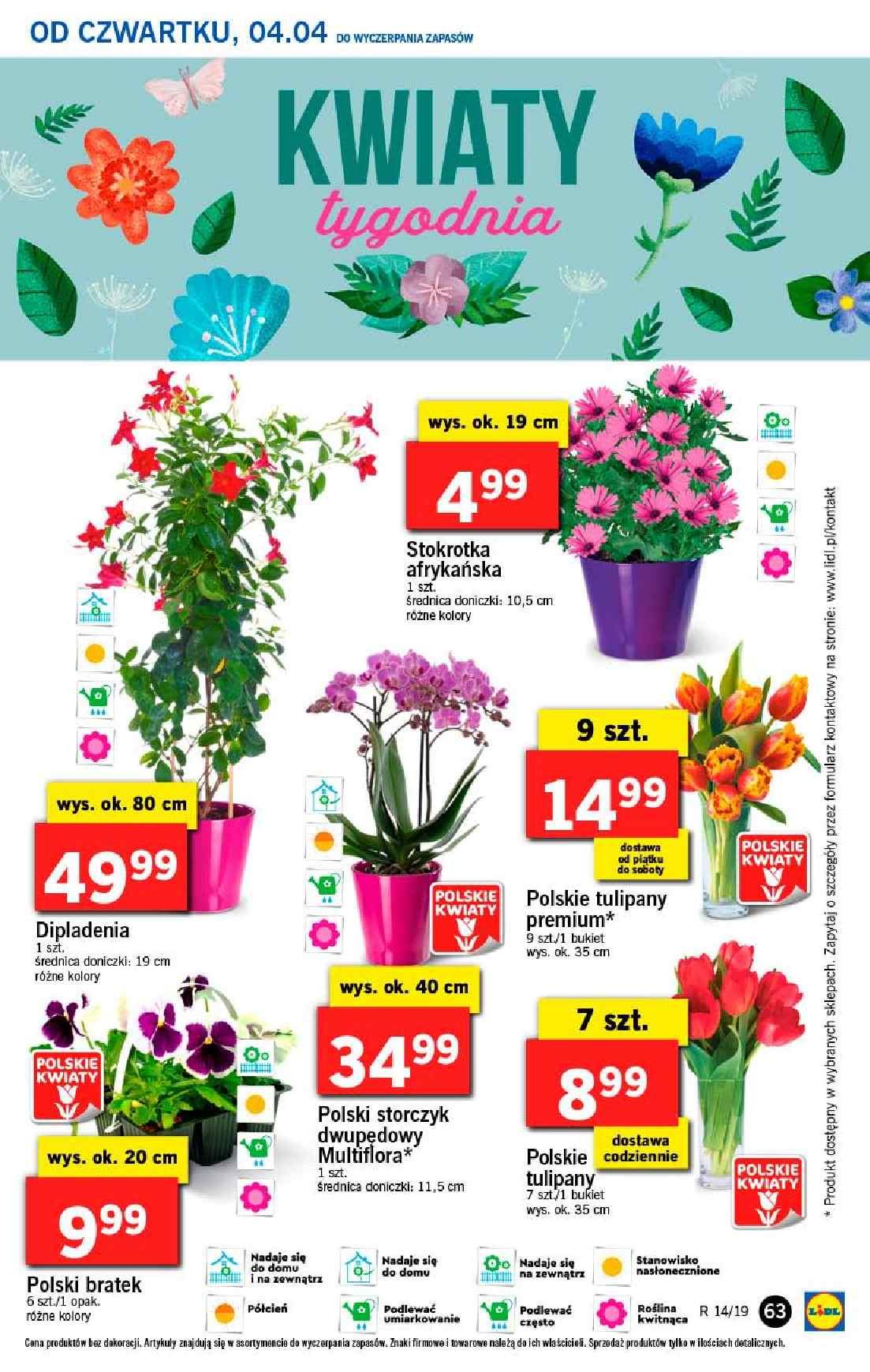 Gazetka promocyjna Lidl do 06/04/2019 str.63