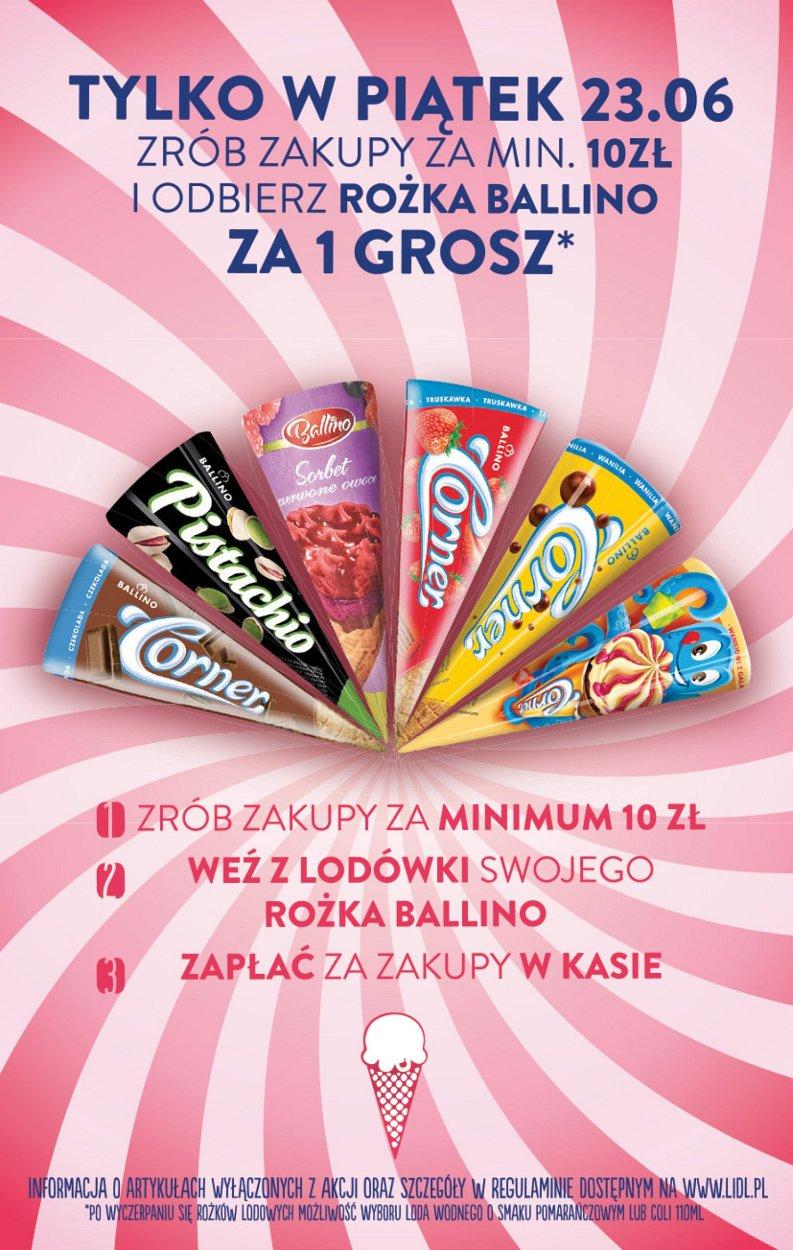 Gazetka promocyjna Lidl do 25/06/2017 str.24