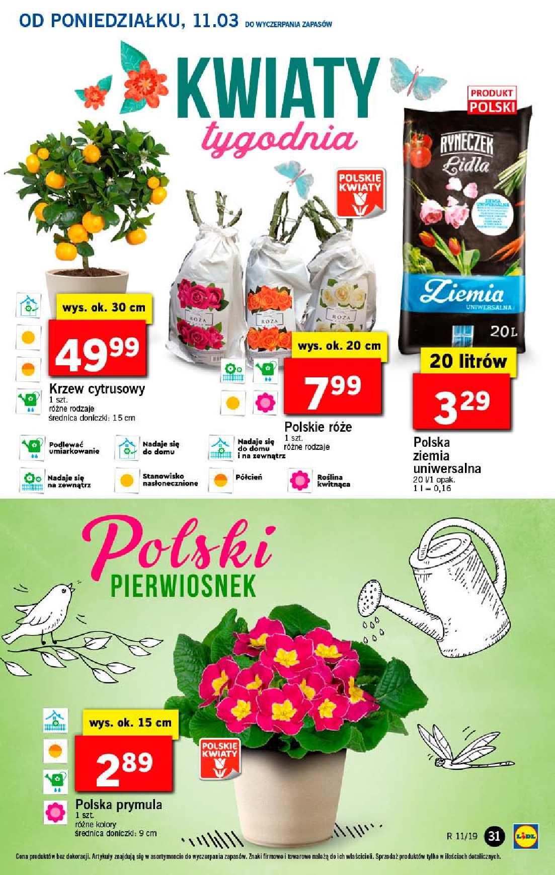 Gazetka promocyjna Lidl do 13/03/2019 str.31