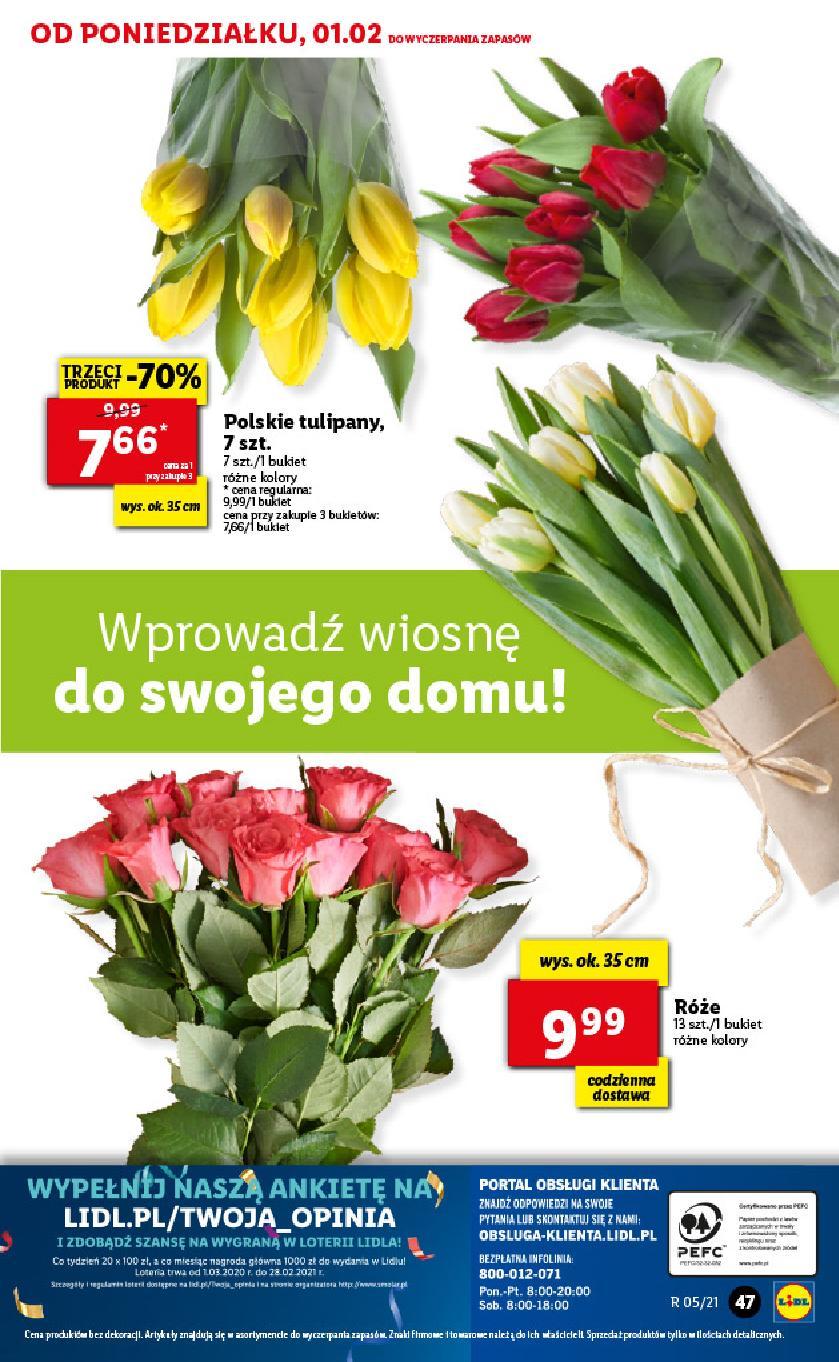 Gazetka promocyjna Lidl do 03/02/2021 str.47