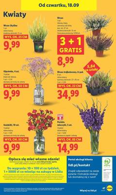 Lidl od czwartku