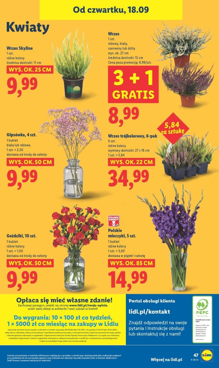 Gazetka promocyjna Lidl do 20/09/2025 str.55