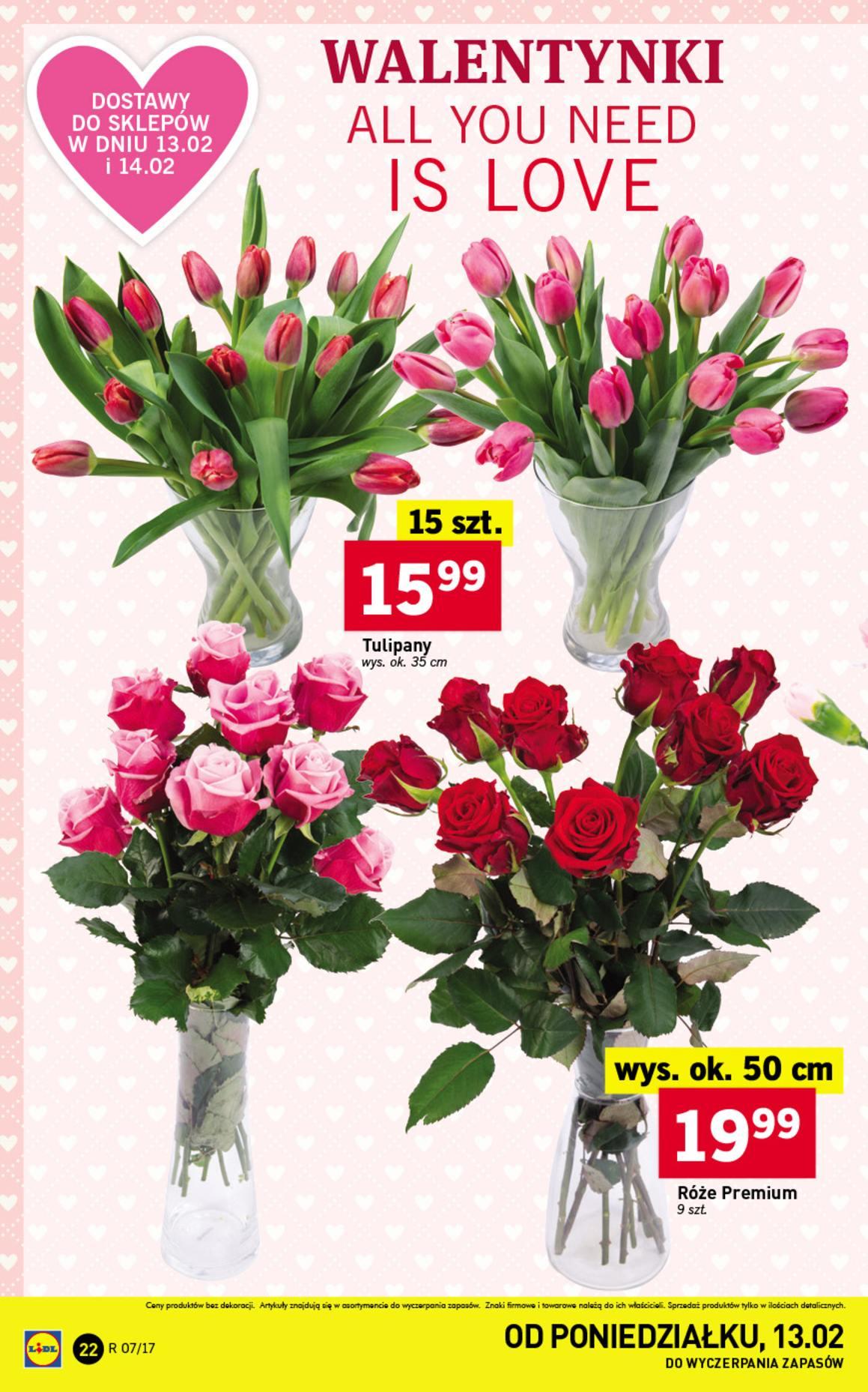 Gazetka promocyjna Lidl do 15/02/2017 str.22