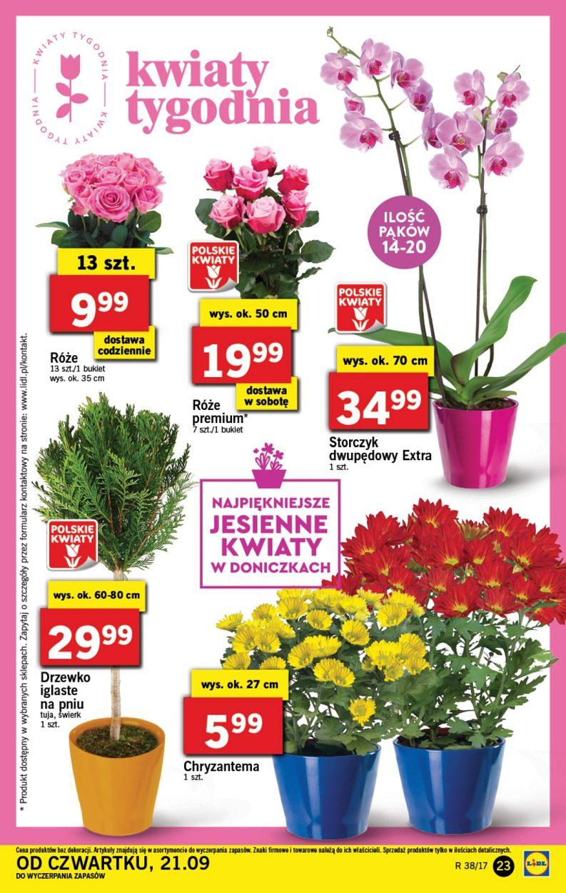 Gazetka promocyjna Lidl do 24/09/2017 str.23