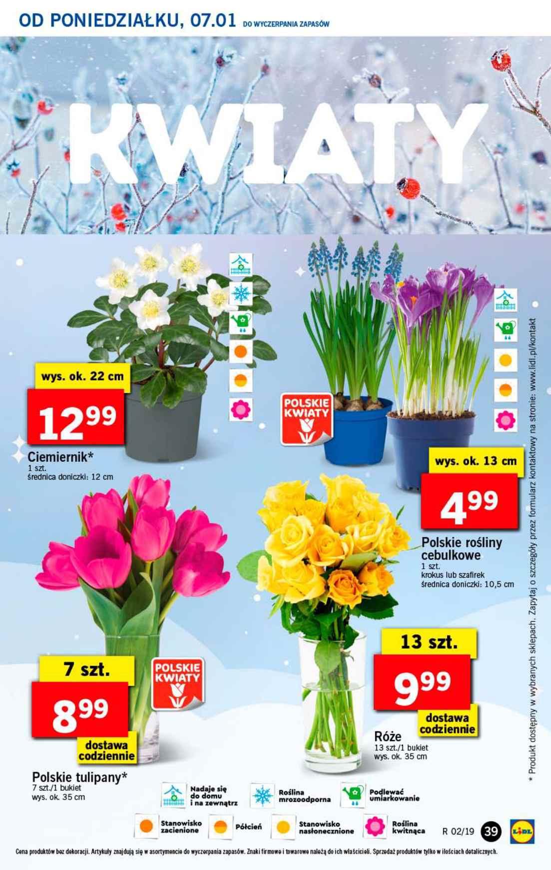 Gazetka promocyjna Lidl do 09/01/2019 str.39