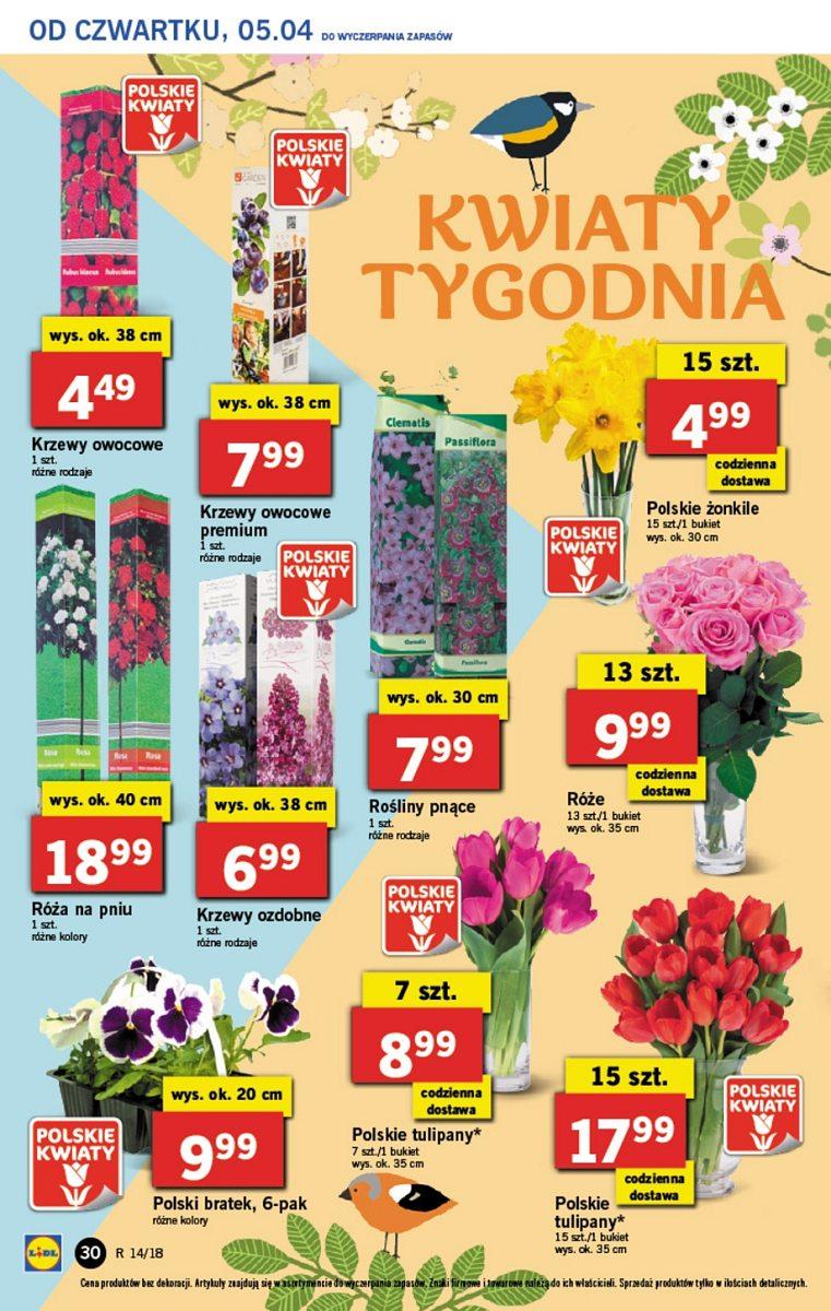 Gazetka promocyjna Lidl do 07/04/2018 str.30