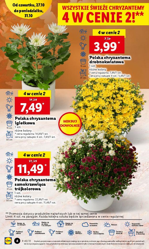 Gazetka promocyjna Lidl do 31/10/2022 str.4