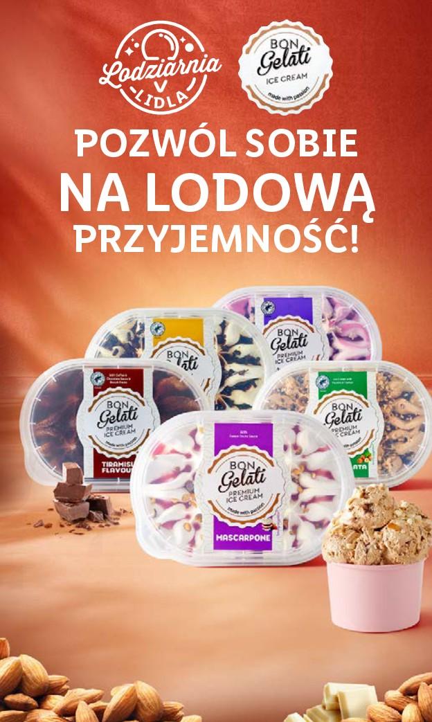 Gazetka promocyjna Lidl do 17/08/2022 str.61