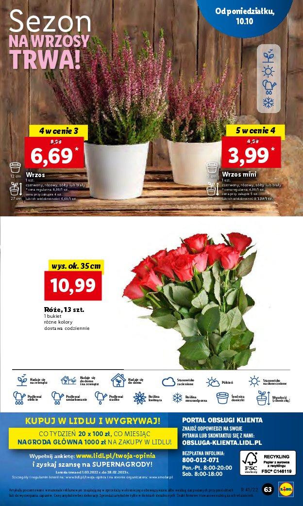 Gazetka promocyjna Lidl do 12/10/2022 str.63