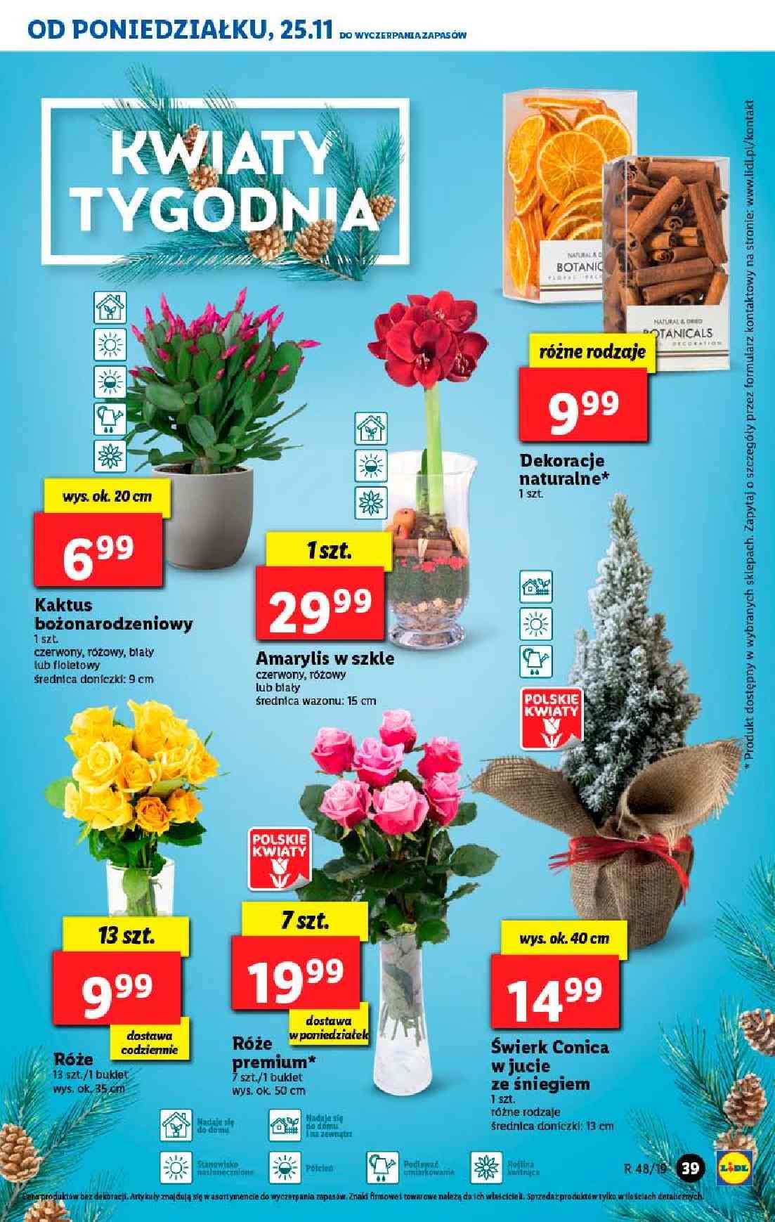 Gazetka promocyjna Lidl do 27/11/2019 str.39