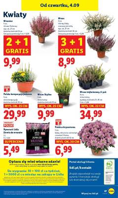 Lidl od czwartku