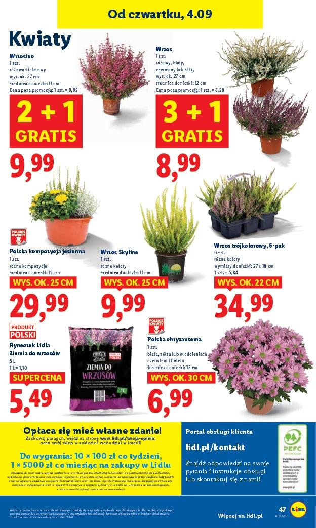 Gazetka promocyjna Lidl do 06/09/2025 str.56