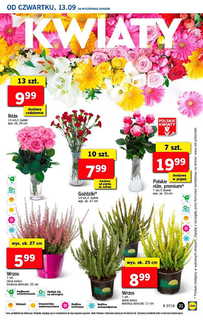 Gazetka promocyjna Lidl do 15/09/2018 str.31