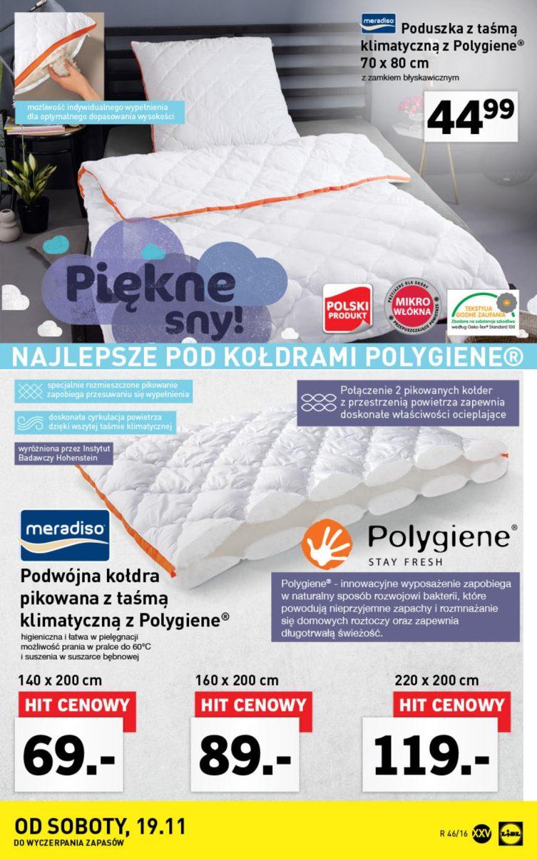 Gazetka promocyjna Lidl do 20/11/2016 str.46