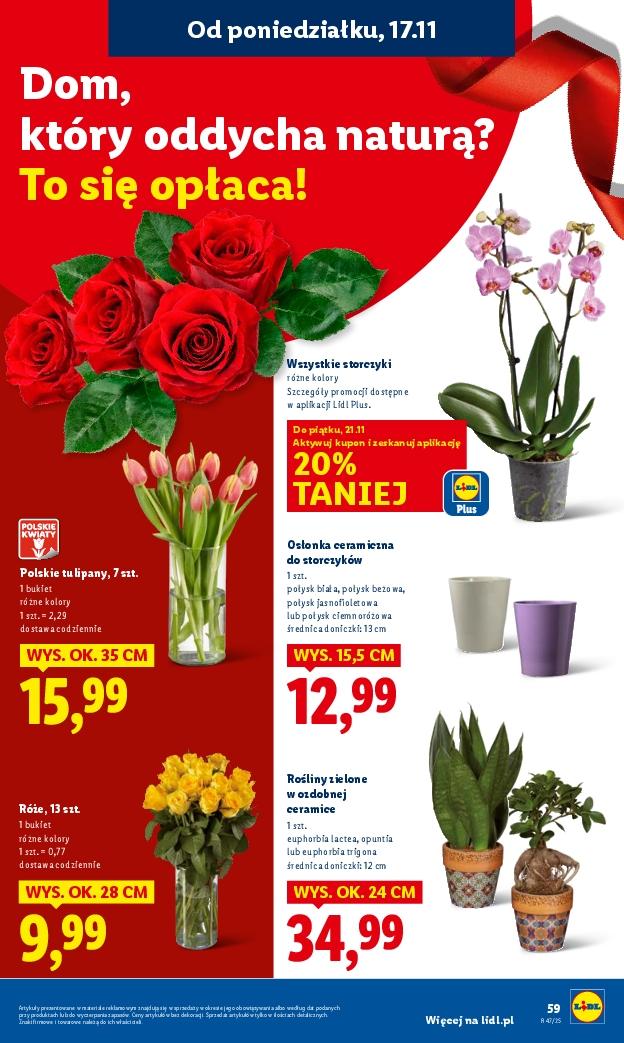 Gazetka promocyjna Lidl do 19/11/2025 str.59