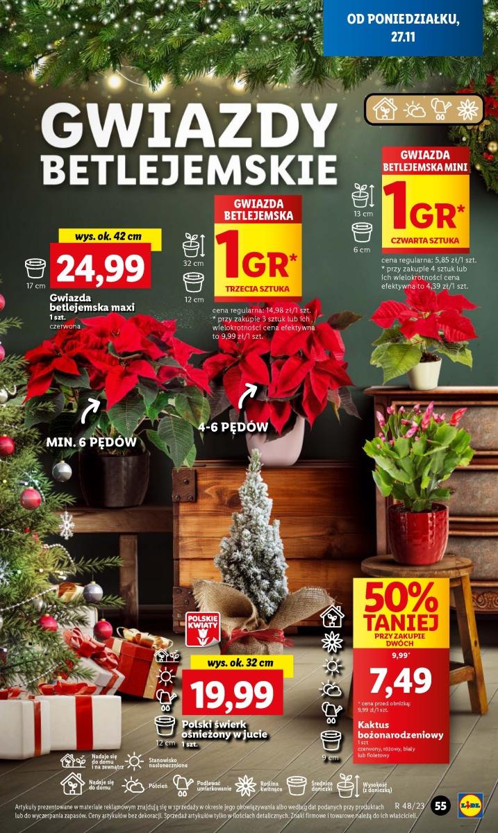 Gazetka promocyjna Lidl do 29/11/2023 str.69