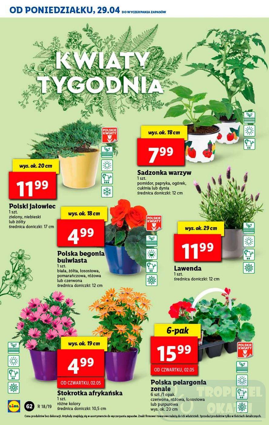 Gazetka promocyjna Lidl do 04/05/2019 str.62