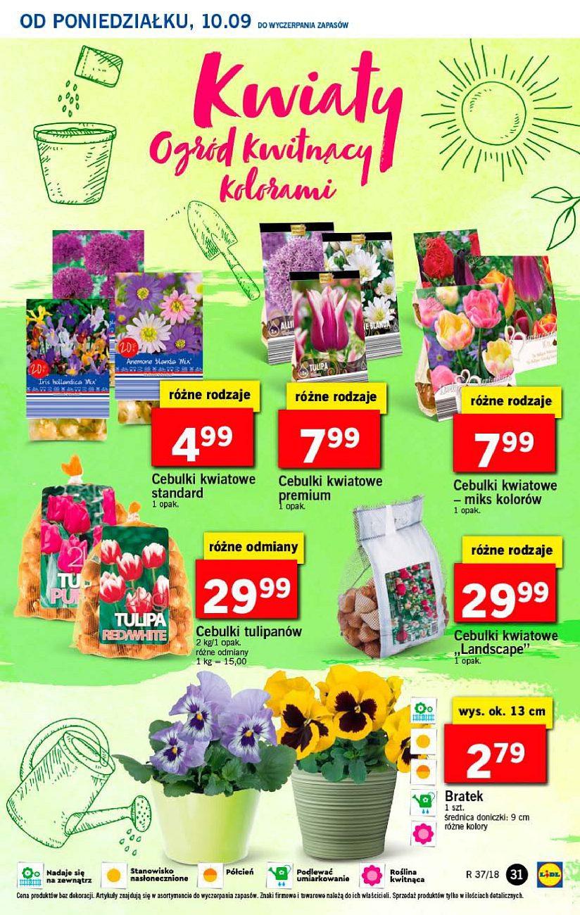 Gazetka promocyjna Lidl do 12/09/2018 str.31