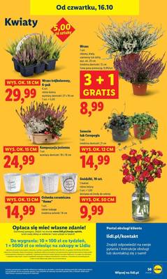 Lidl od czwartku
