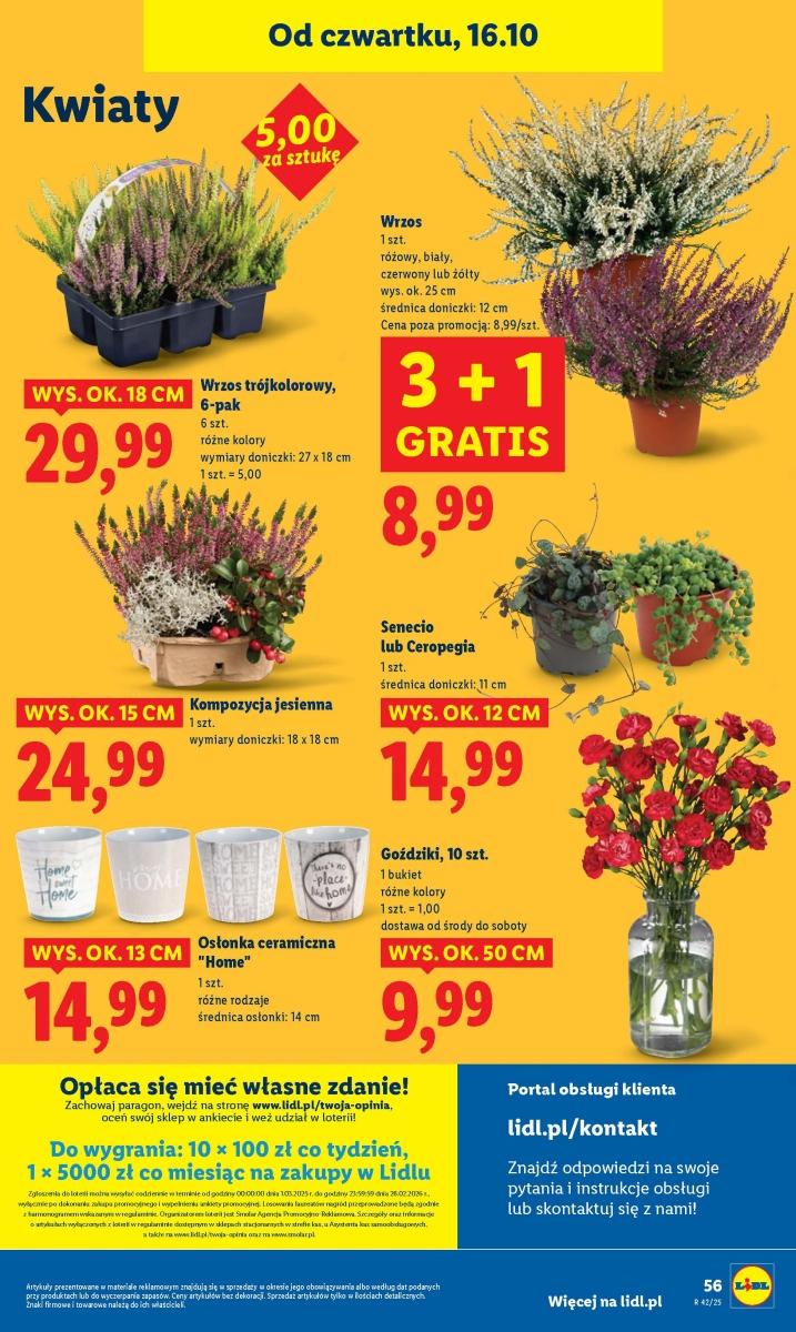 Gazetka promocyjna Lidl do 18/10/2025 str.60