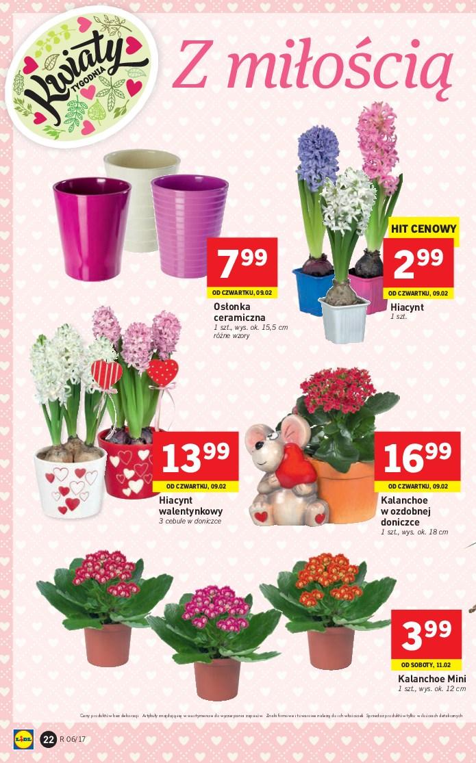 Gazetka promocyjna Lidl do 12/02/2017 str.22