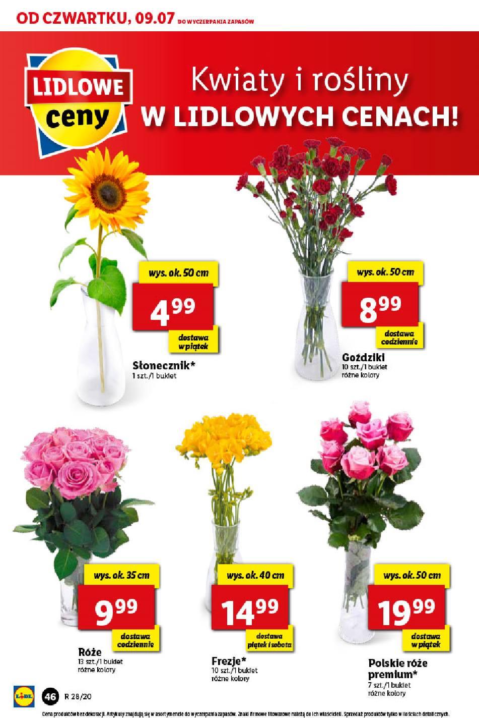 Gazetka promocyjna Lidl do 11/07/2020 str.46