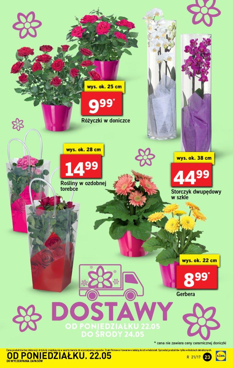 Gazetka promocyjna Lidl do 24/05/2017 str.23