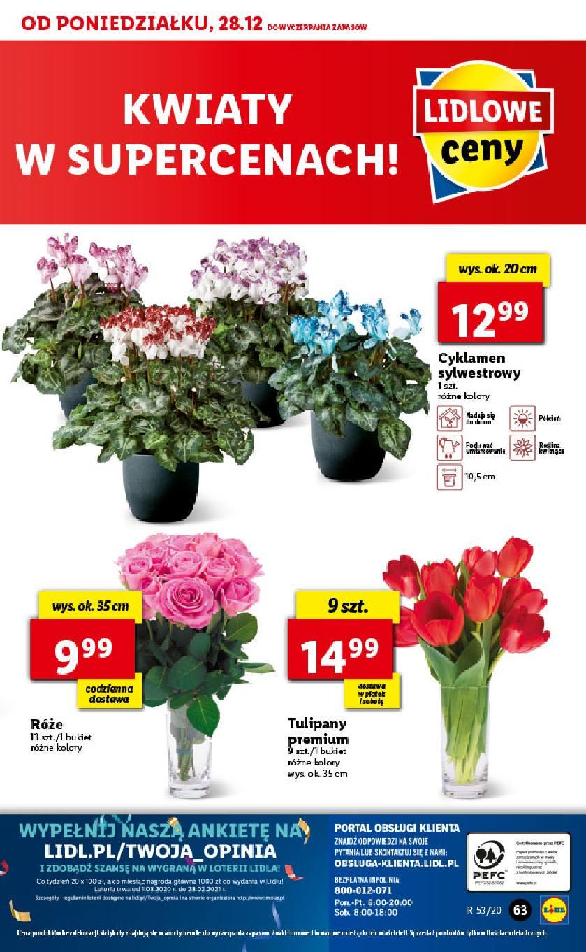 Gazetka promocyjna Lidl do 02/01/2021 str.63