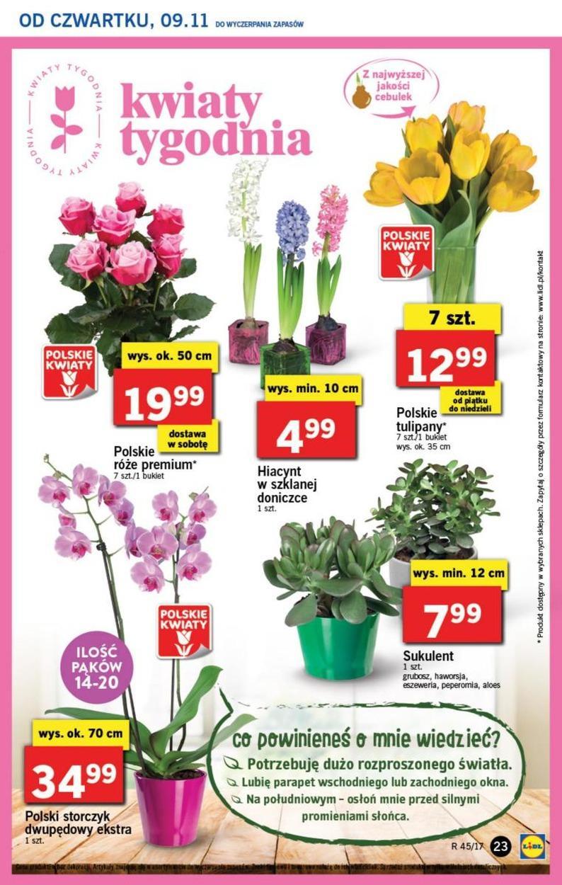 Gazetka promocyjna Lidl do 12/11/2017 str.23