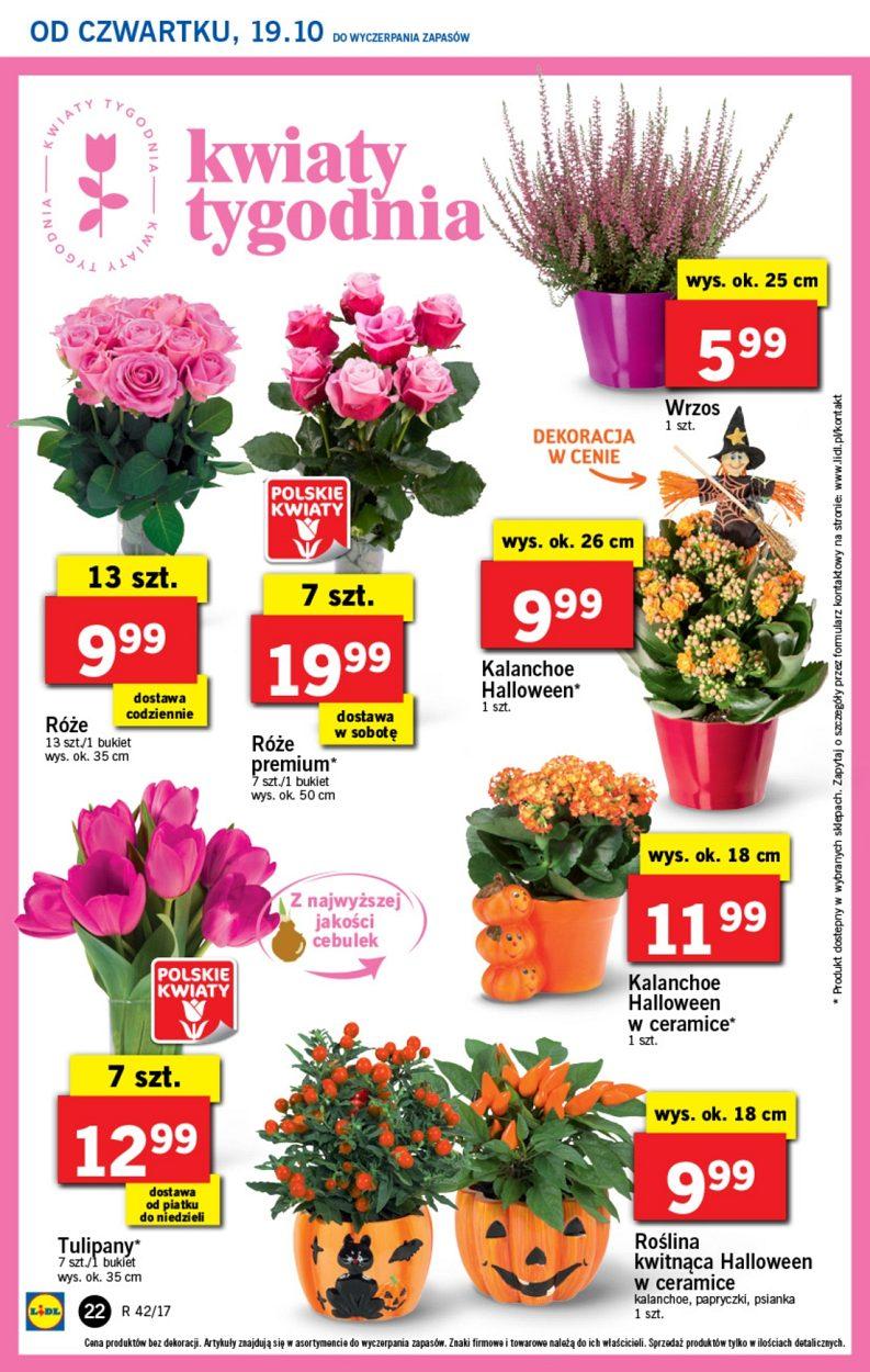 Gazetka promocyjna Lidl do 22/10/2017 str.22